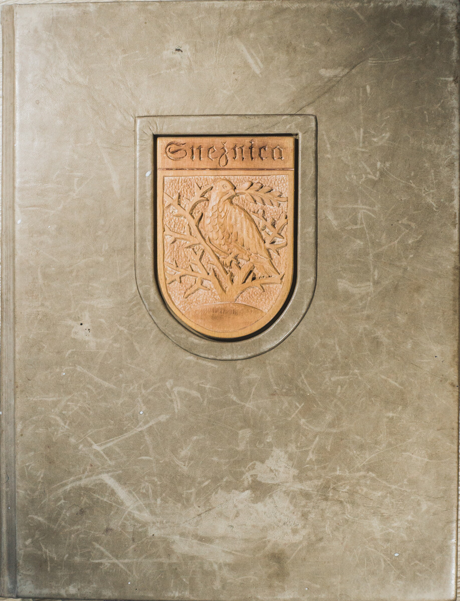 logo kronika